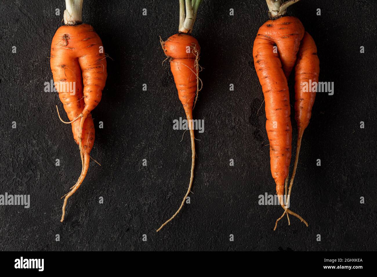Trendy ugly organic carrots from home garden bed on black background. top view Stock Photo