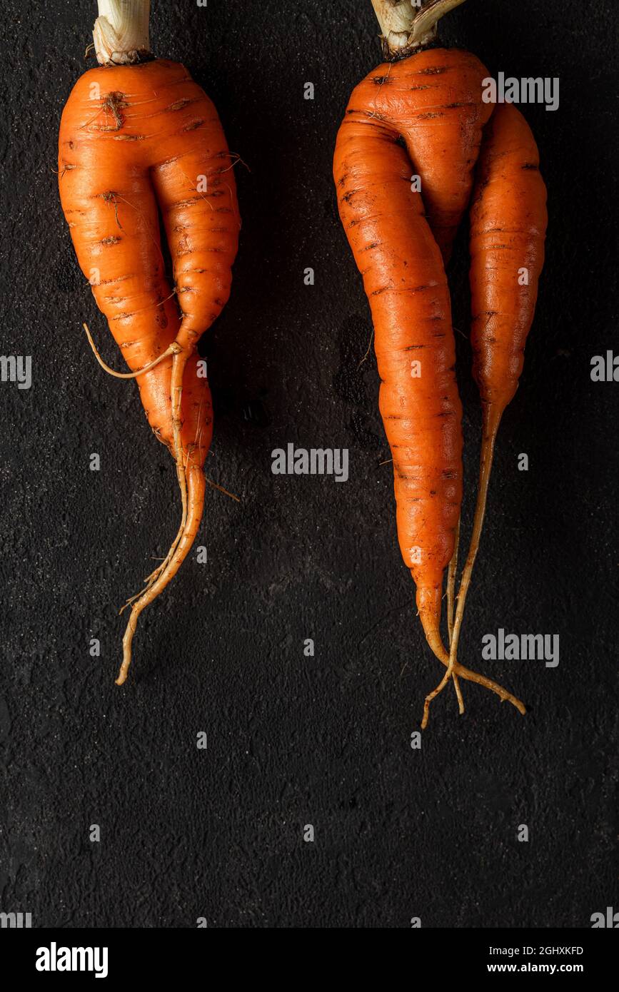 Ugly vegetable carrots on black background. top view. vertical orientation Stock Photo