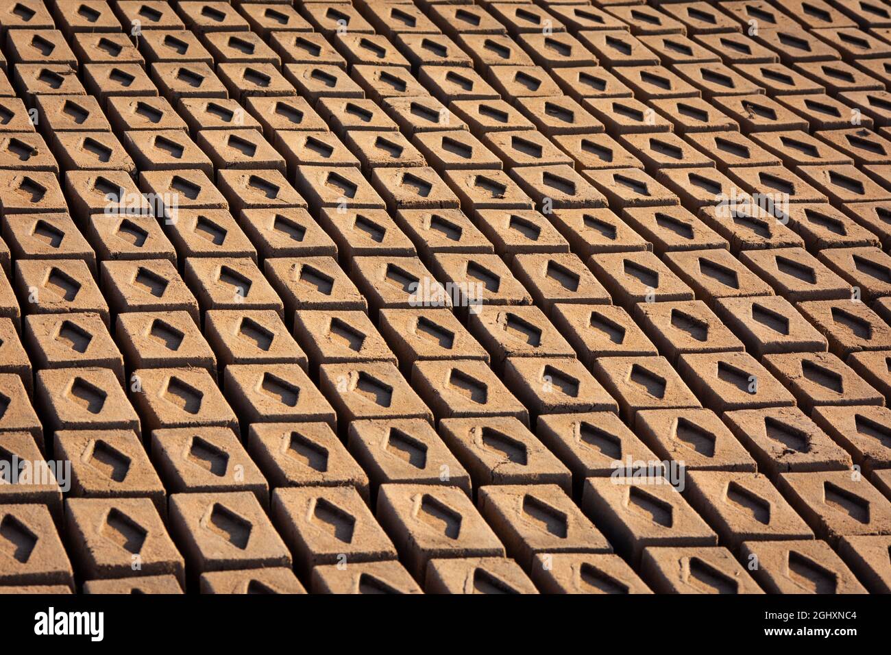 Hand made bricks from wet clay and mud are kept for drying before the burning process