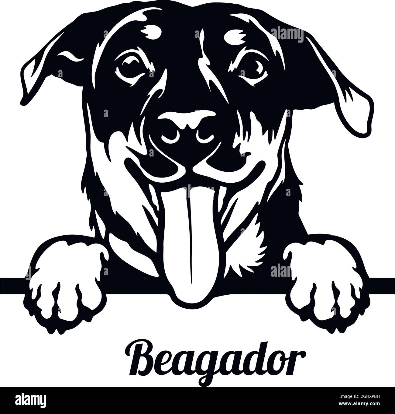 Beagador Peeking Dog - head isolated on white - vector stock Stock ...