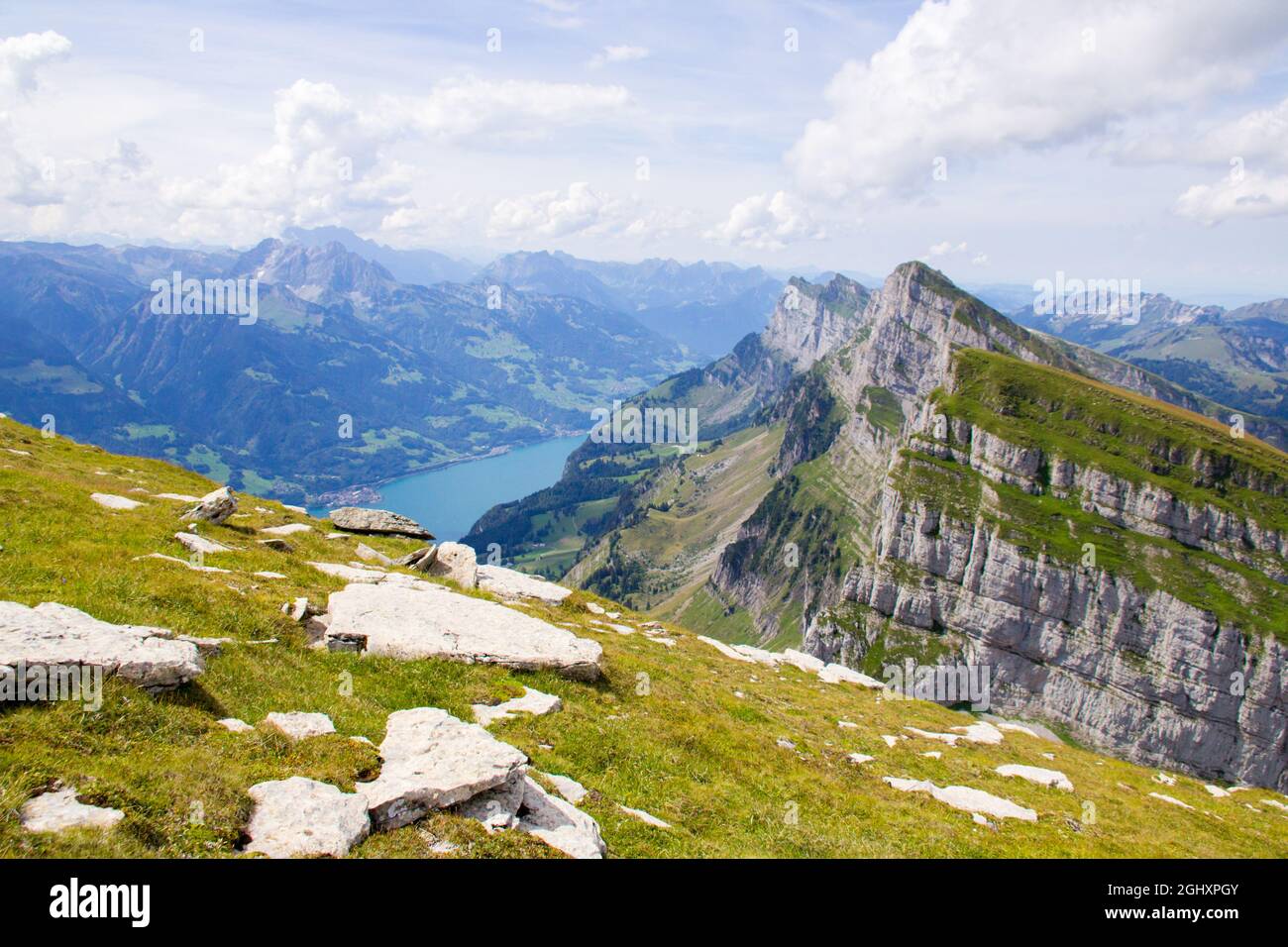Toggenburg hi-res stock photography and images - Alamy