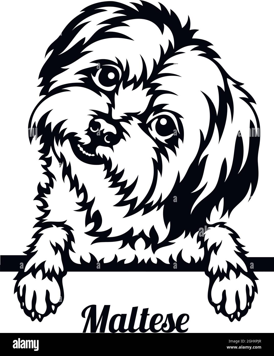 Dog silhouette maltese Black and White Stock Photos & Images - Alamy