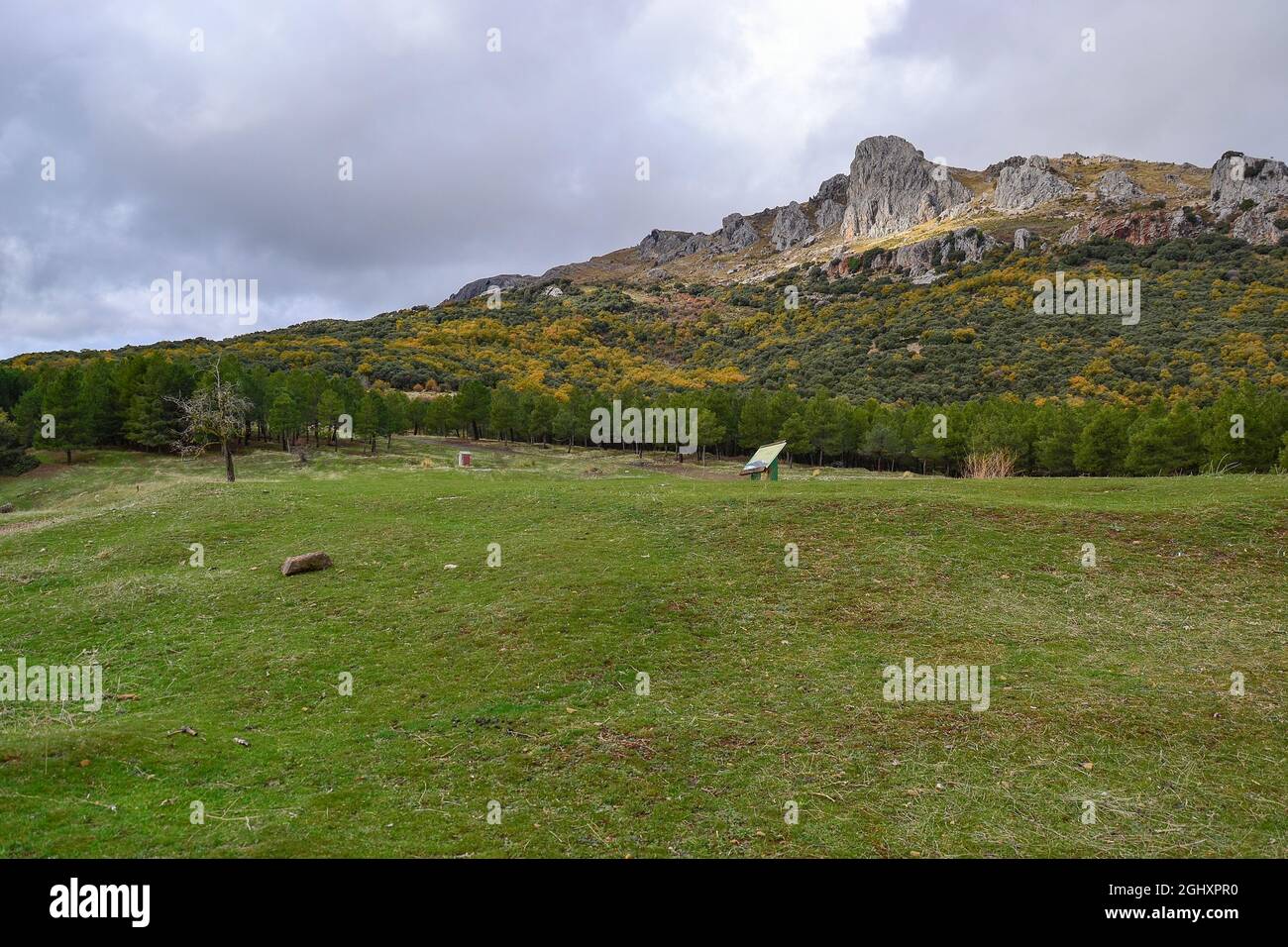 esplanade with green grass, a forest below and mountains in the background on a cloudy autumn day Stock Photo