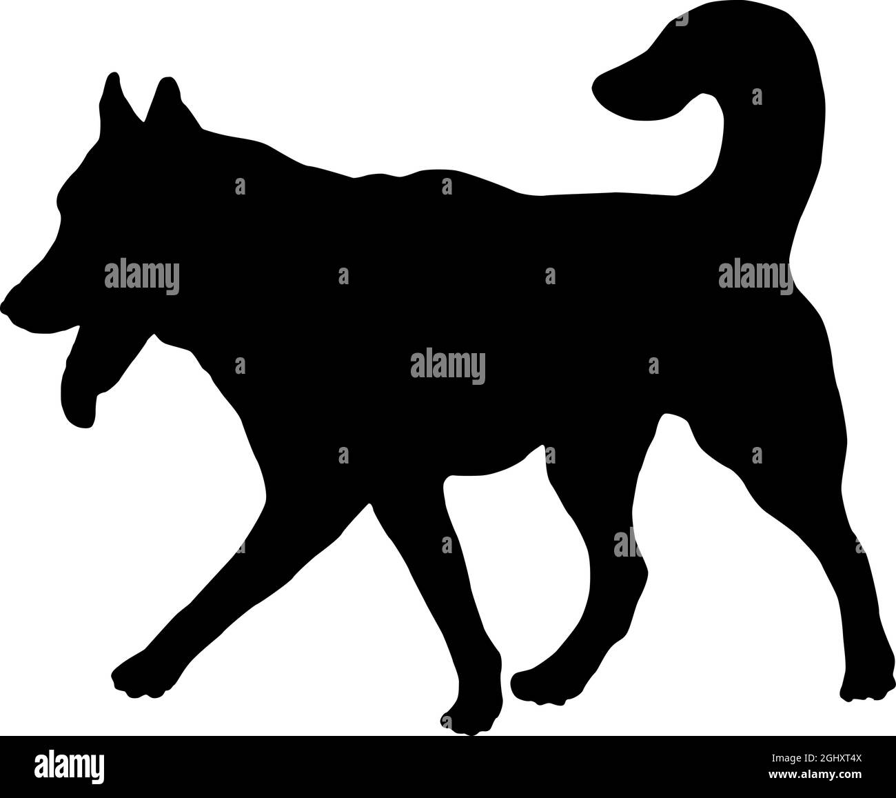 Walking siberian husky puppy. Black dog silhouette. Pet animals. Isolated on a white background. Vector illustration. Stock Vector