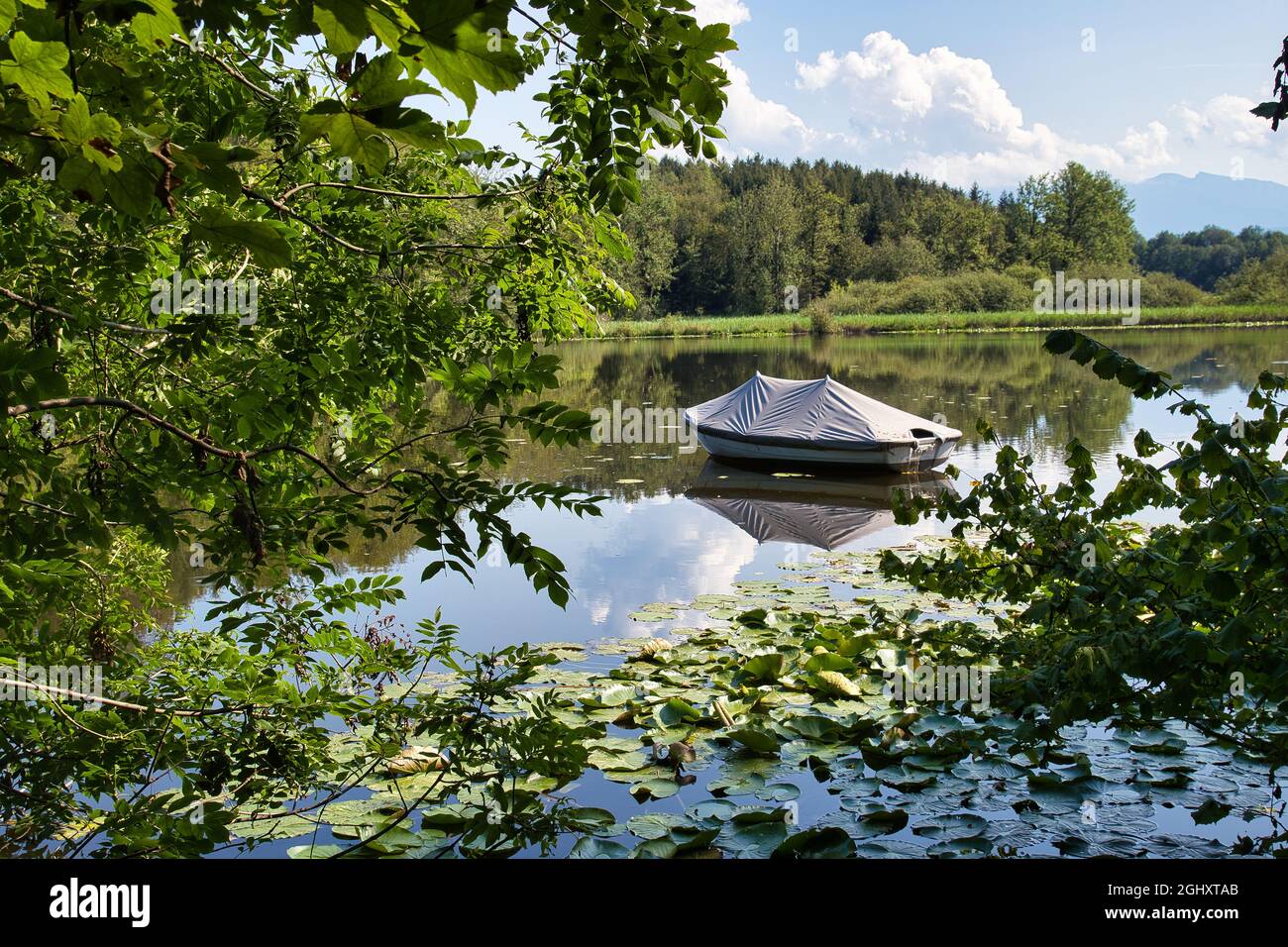 Small boat in the middle of the lake surrounded by forest Stock Photo ...