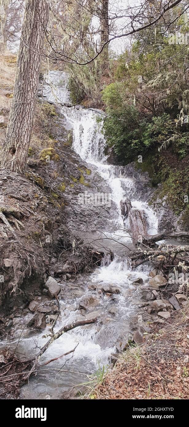Beautiful view of the water stream of the waterfall through the rocks ...