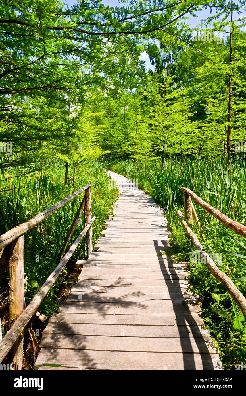 Cane bridge hi-res stock photography and images - Alamy
