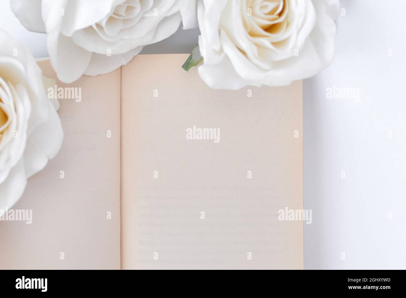 a book and white roses on the table, empty space for title Stock Photo