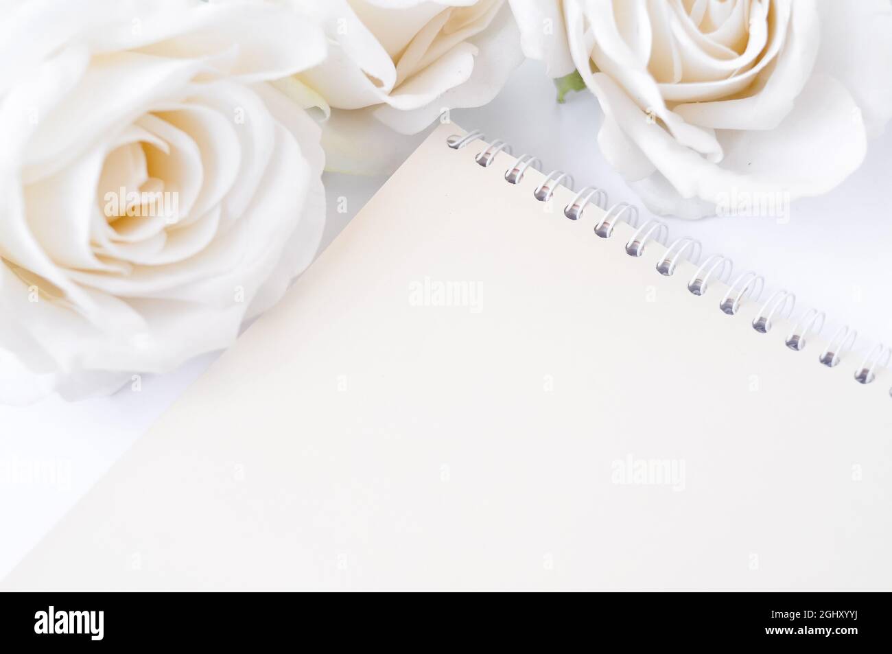 a book and white roses on the table, empty space for title Stock Photo