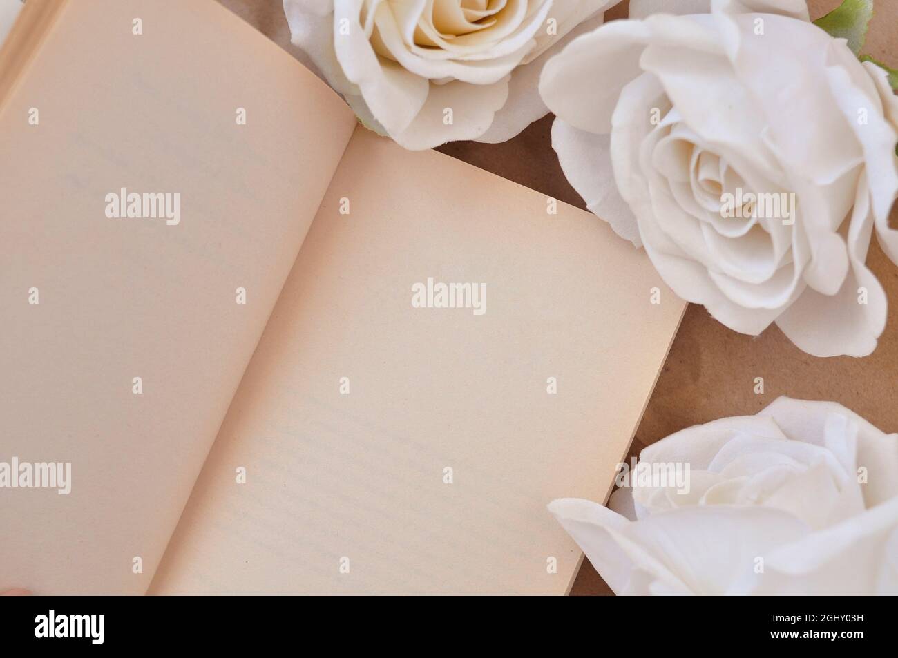 a book and white roses on the table, empty space for title Stock Photo