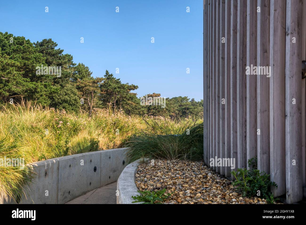 Planting detail around The Lookout visitor facilities at Holkham National Nature Reserve on North Norfolk coast. Designed by Lucas+Western Architects. Stock Photo