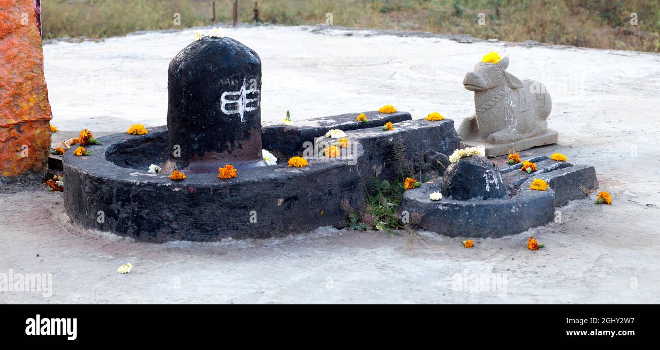 Close up of shivling and nandi bull decorated with offerings of marigold flowers in an open air temple. Stock Photo