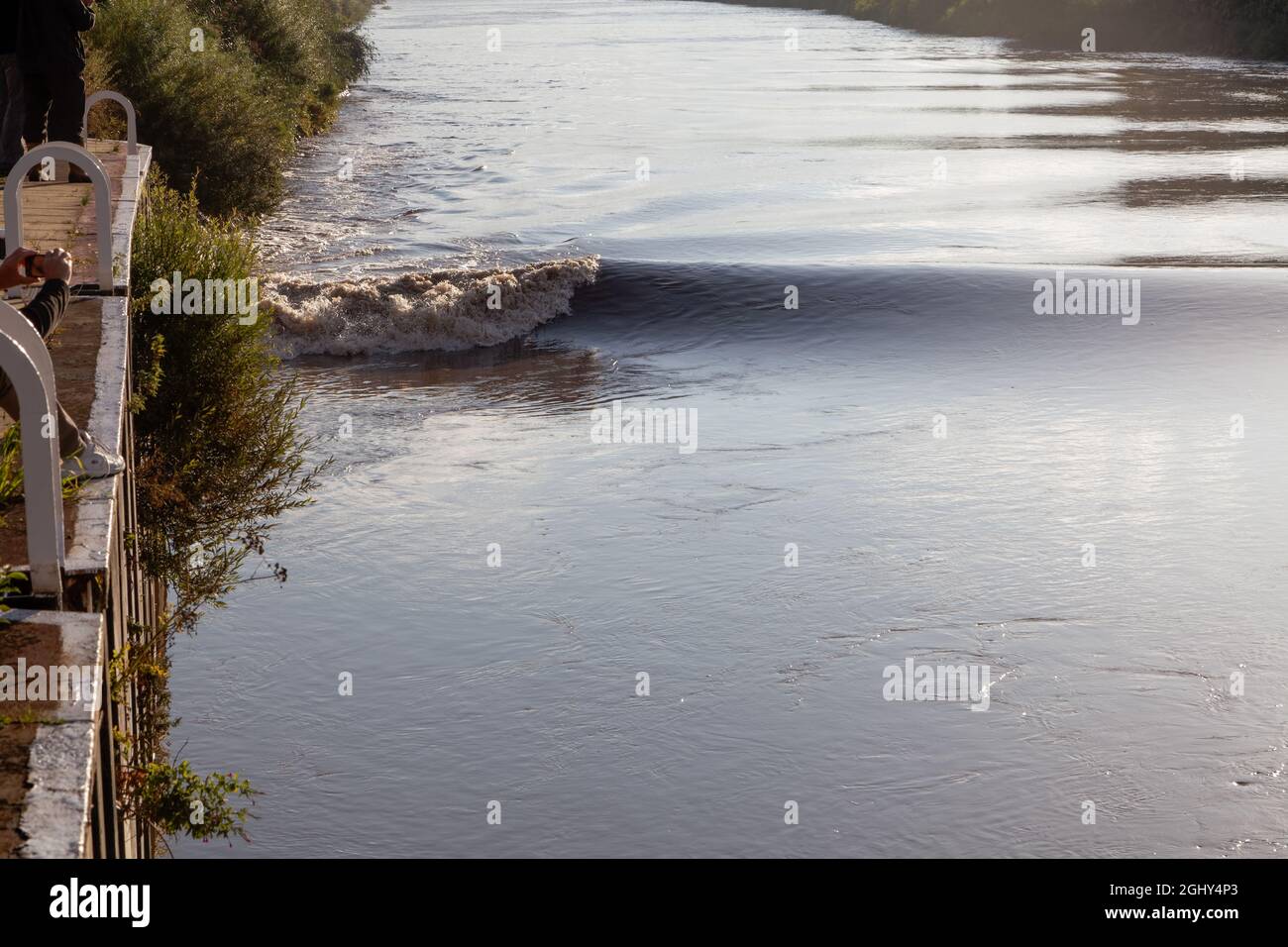 The Trent Aegir, a tidal bore or eagre, at West Stockwith on the Trent in Lincolnshire Stock Photo