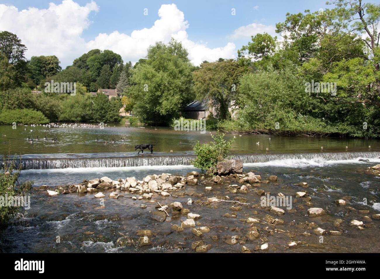 the River Wye & weir, Bakewell, Peak District, Derbyshire, England Stock Photo