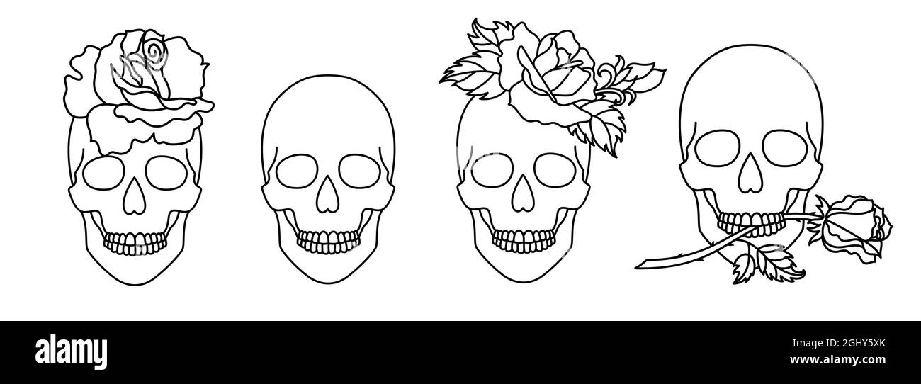 Set of skulls with a rose in a line art style. Stock Vector
