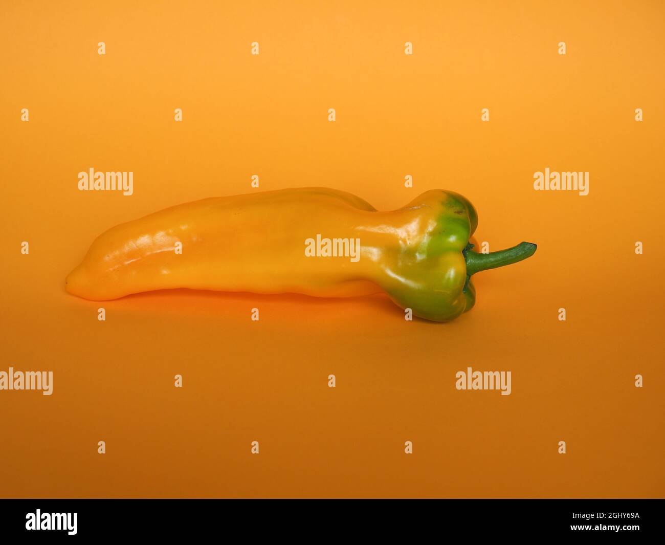 yellow peppers (scientific name Capsicum aka bell peppers) vegetables