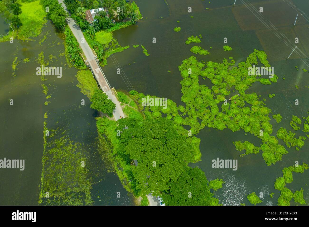 Flooded agricultural land at Sariakandi in Bogra during rainy season. Bangladesh Stock Photo