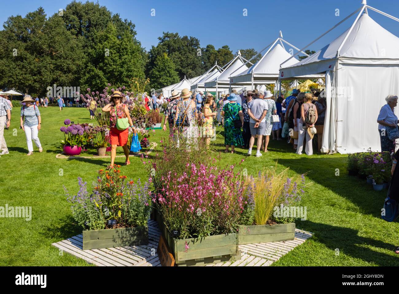 RHS Garden Wisley Flower Show 2021. Visitors flock to the annual show