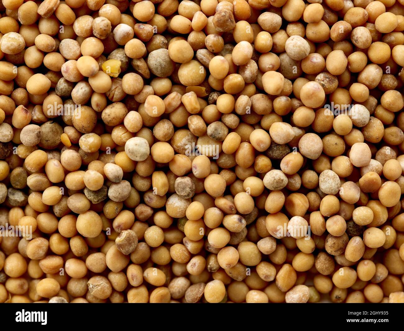 mustard seed background, top view Stock Photo Alamy