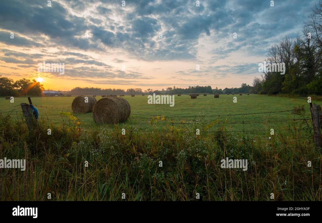 Landscape of rolled haystacks in a field under a cloudy sky during the ...