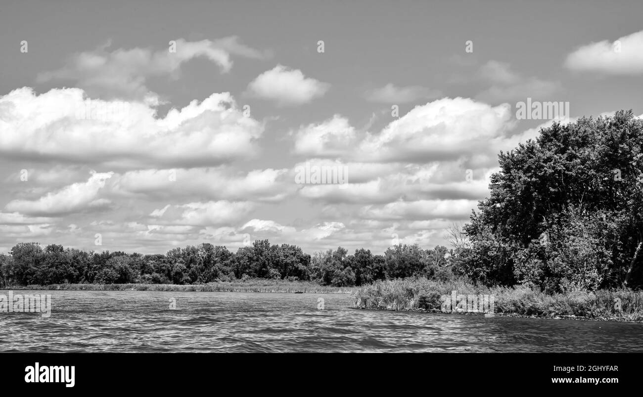 Low Angle Landscape Summer Black And White Stock Photos Images Alamy