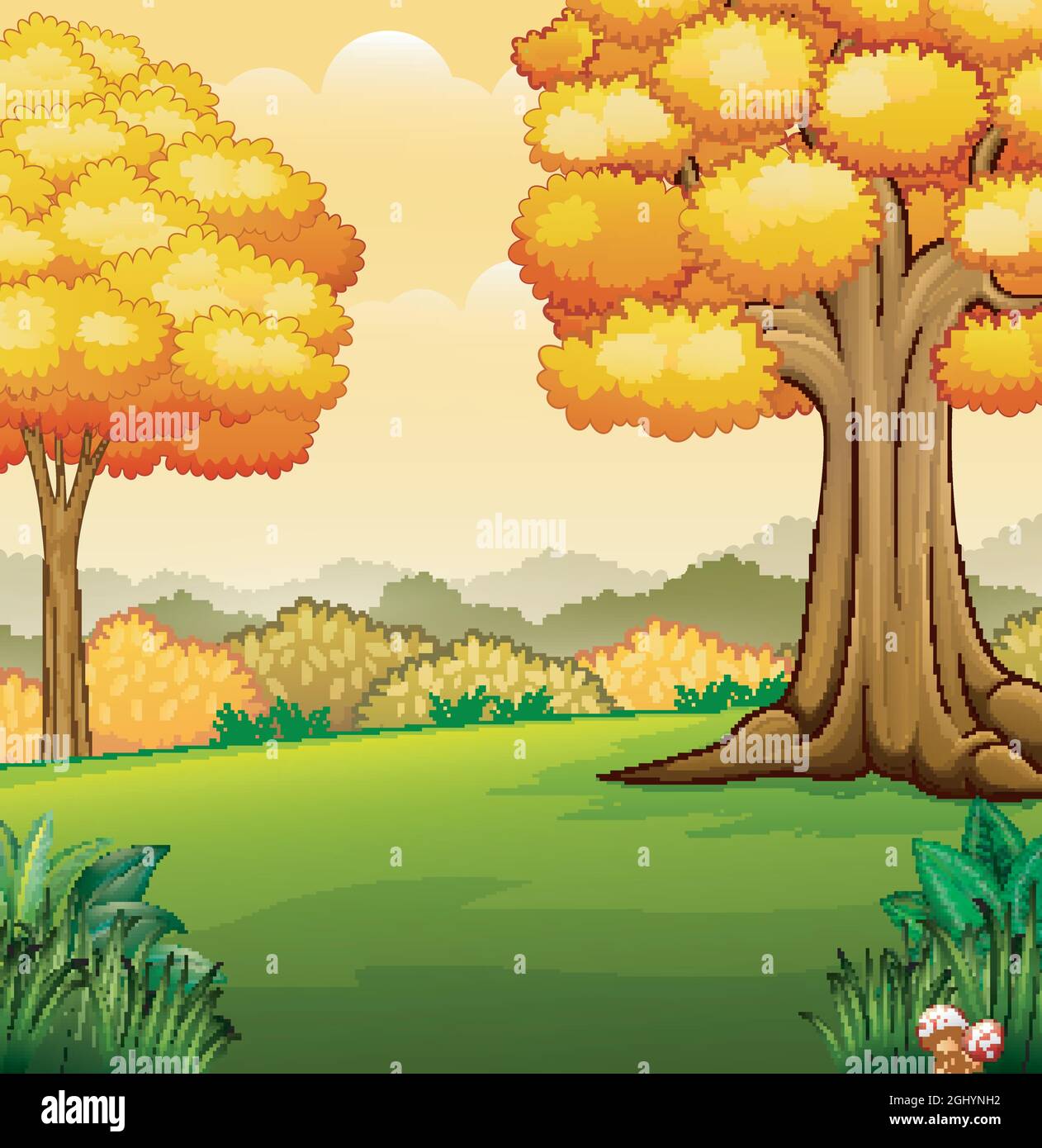 Autumn panorama trees in Stock Vector Images - Alamy