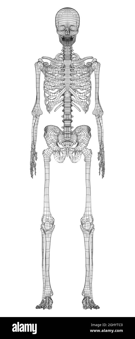 Royalty-Free (RF) Clipart Illustration of a Vintage Black And White Sketch  Of A Human Skeleton - 5 by BestVector #434010