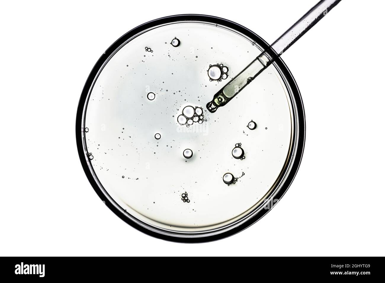 Petri dish with pipette isolated on white background. Petri dish with