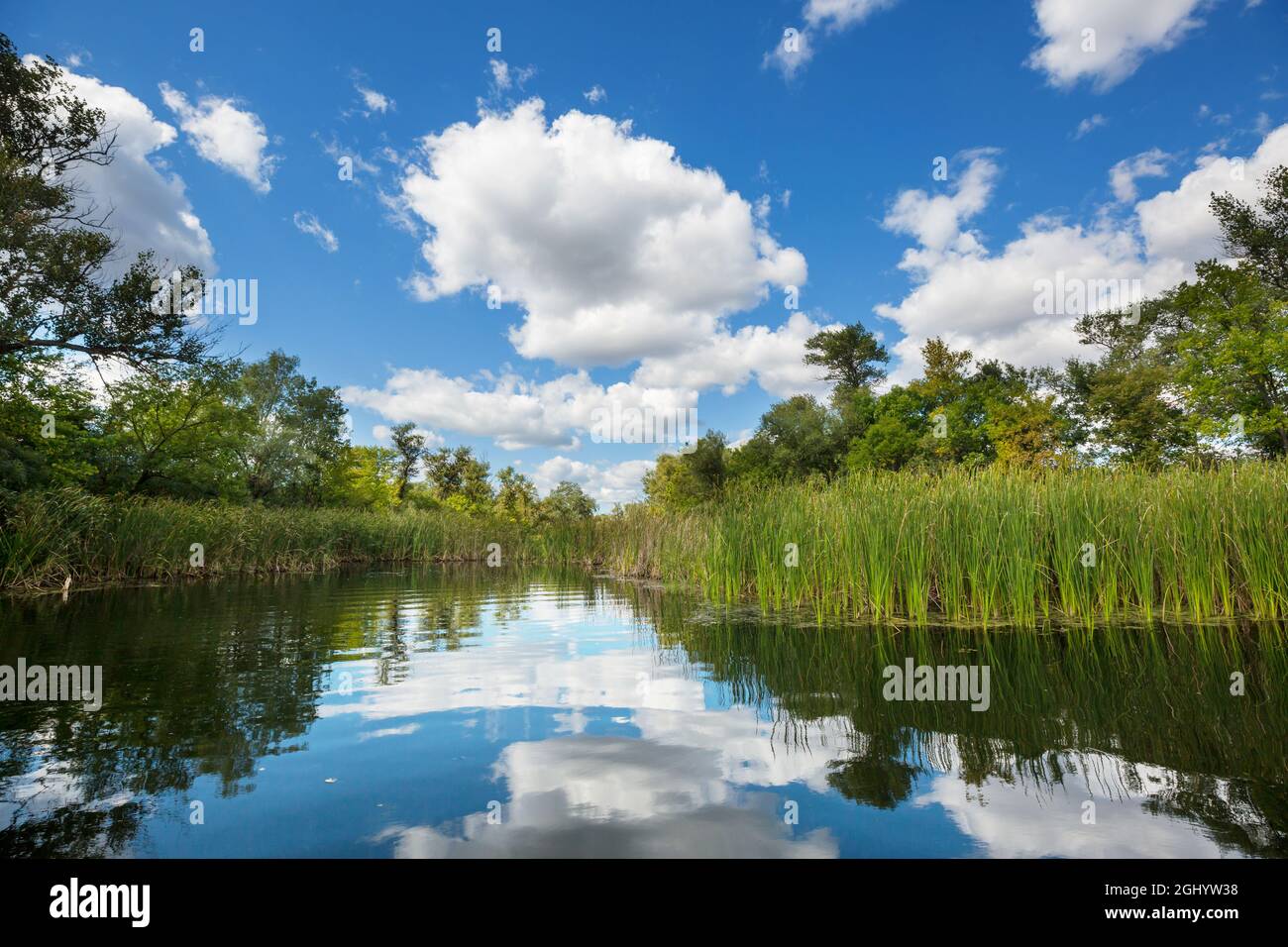 River bank in sunny hi-res stock photography and images - Alamy