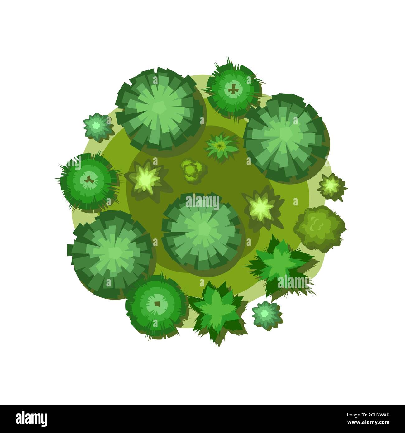 Small forest with height. Park with trees. View from above. Plant landscape. Island. Green wildlife. Top view. Background illustration in cartoon Stock Vector