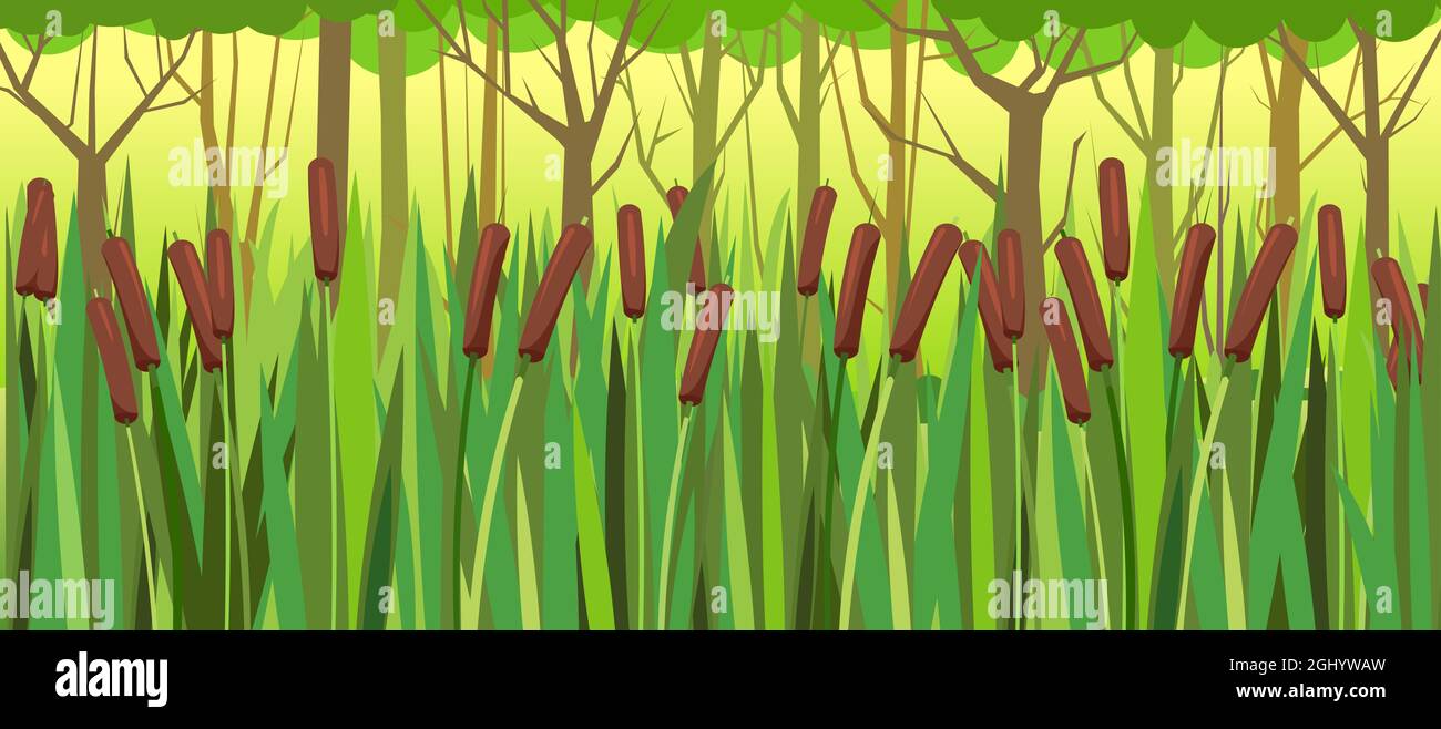 Thickets of reeds in the forest. Swampy wild landscape. Overgrown pond against the background of trees. Illustration vector Stock Vector
