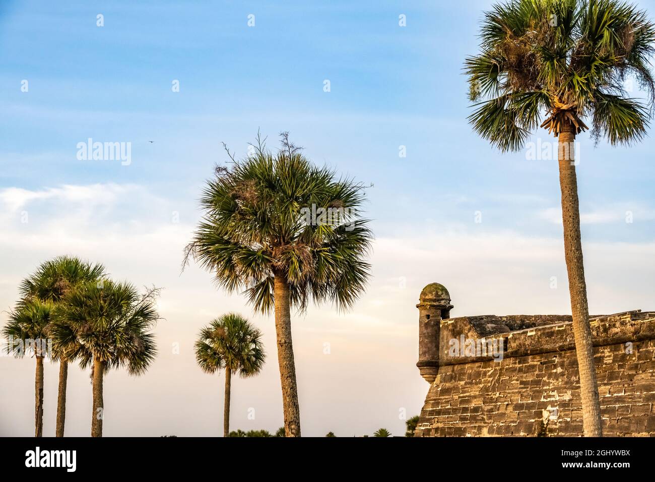 Florida palm trees at sunrise along Matanzas Bay at Castillo de San Marcos National Monument in St. Augustine, Florida. (USA) Stock Photo