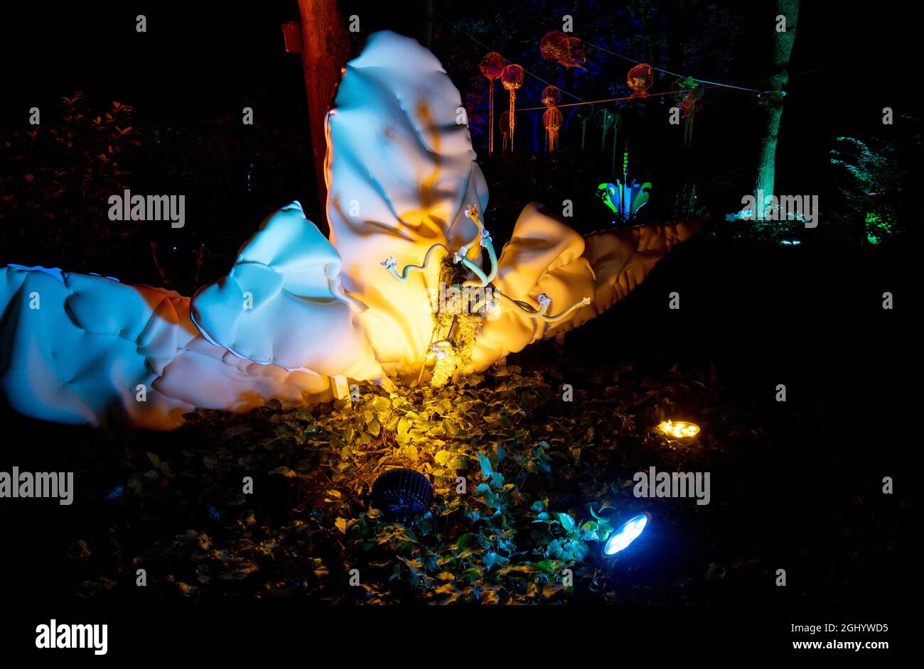 Park der gärten bad zwischenahn hires stock photography and images Alamy