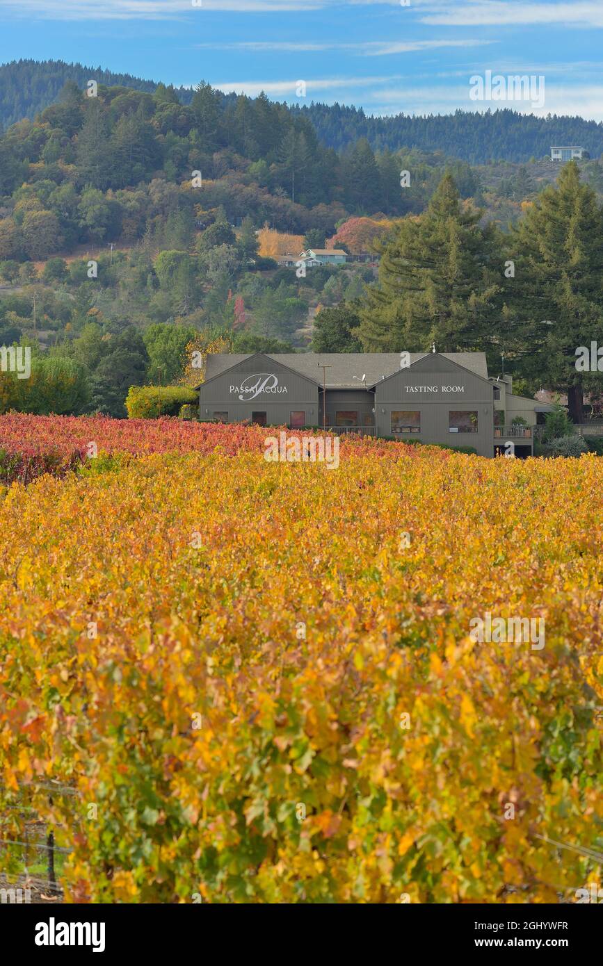 Passalacqua Winery Beautiful fall scenery at the Dry Creek AVA