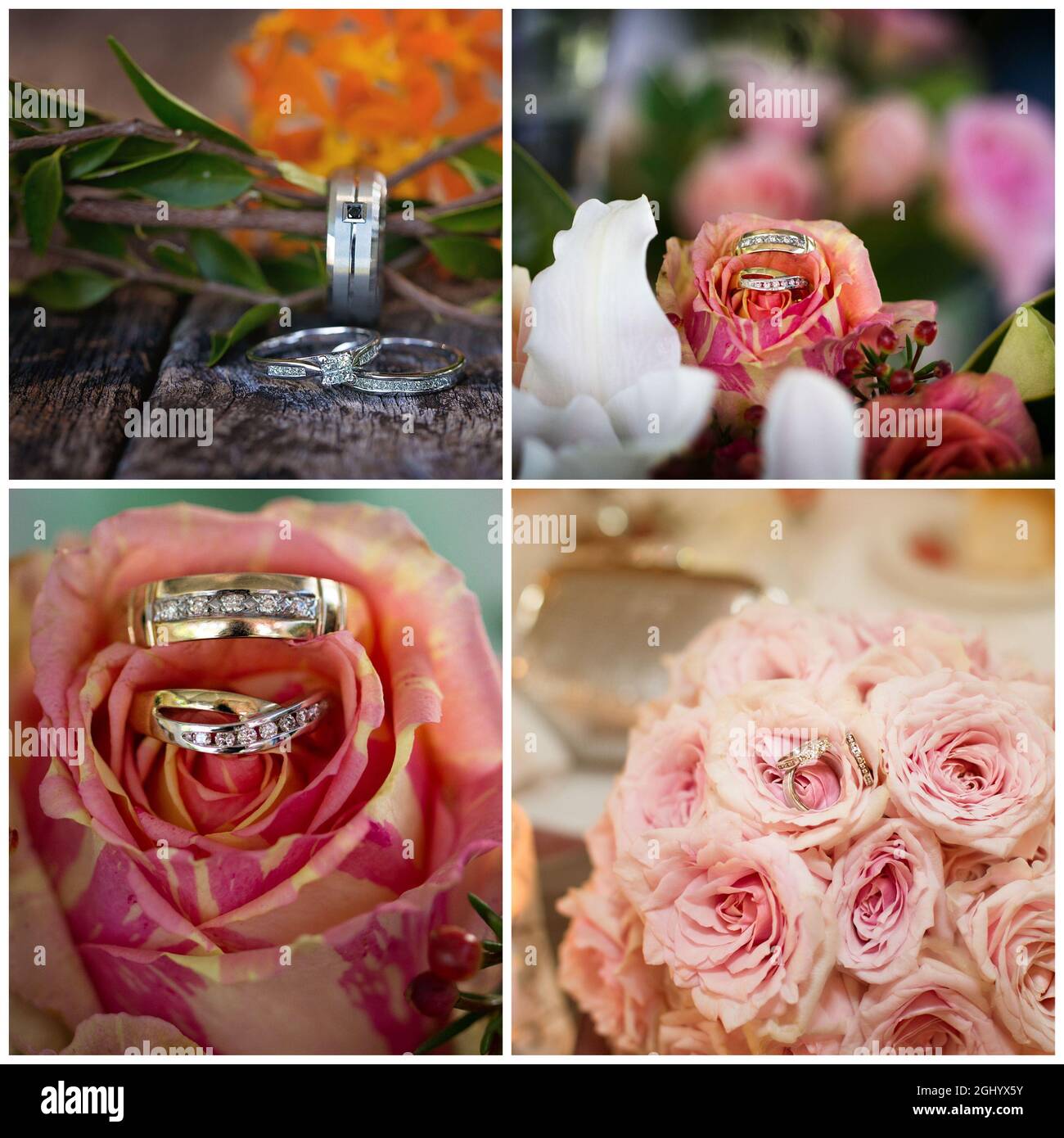 Collage of diamond wedding rings with pink and orange flowers Stock