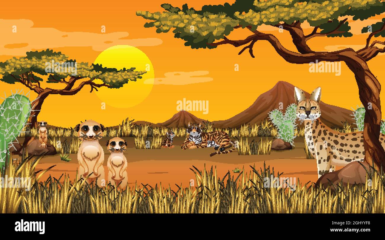Desert forest landscape at sunset time scene with wild animals ...