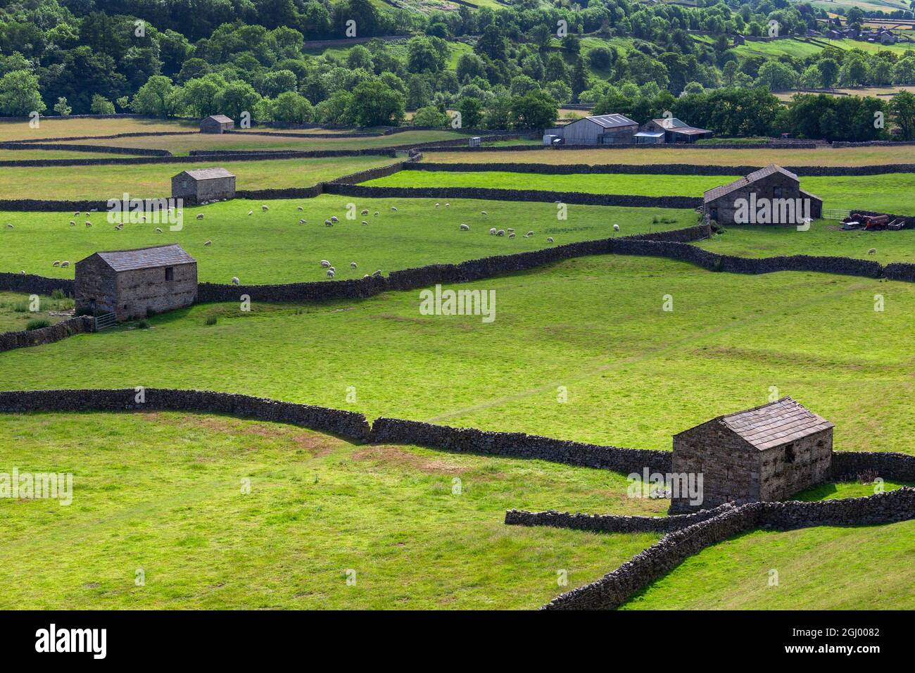 Traditional dry-stone walls and barns in the farmland of the Yorkshire ...