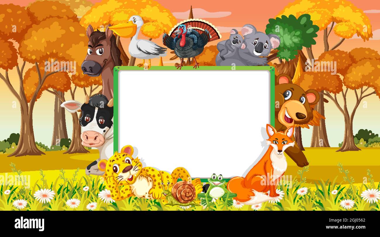 Empty banner with various wild animals in the forest illustration Stock ...
