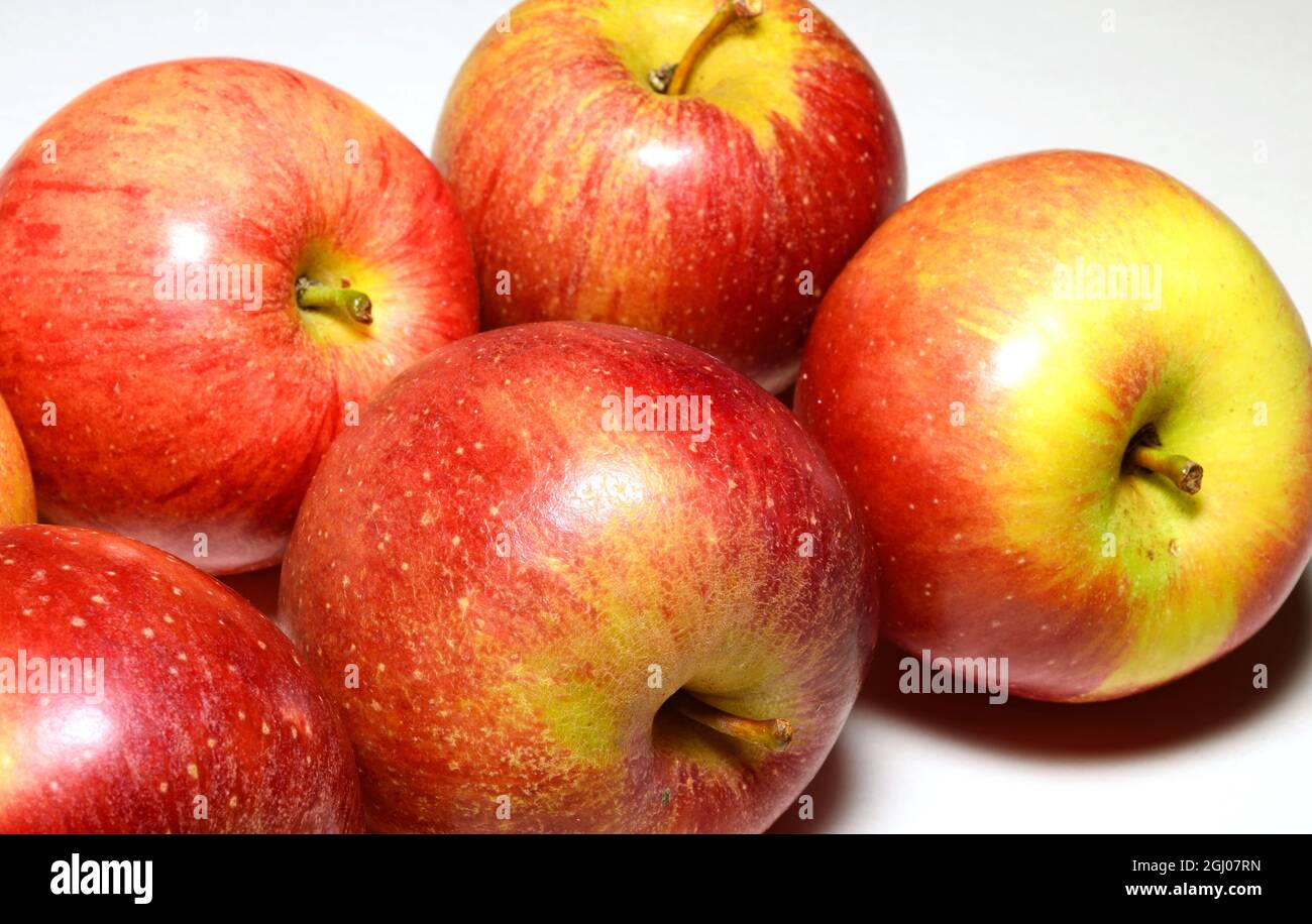 Braeburn apples on a plain white background, UK Stock Photo Alamy