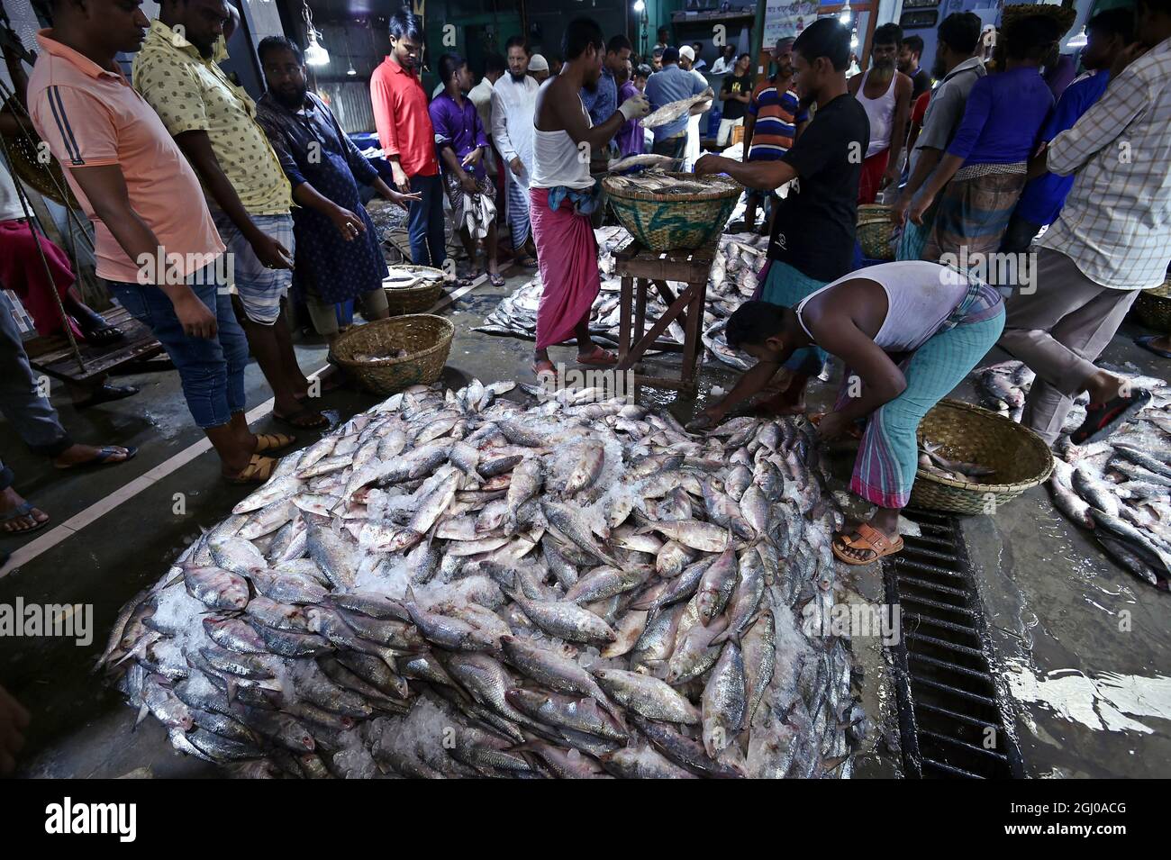 Wholesale fish deals market