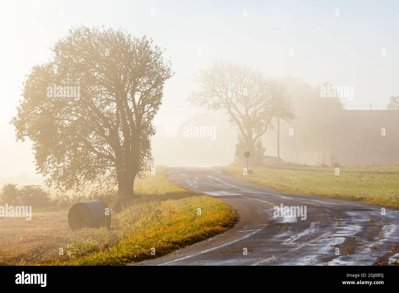 Curvy road in morning fog in autumn Stock Photo - Alamy