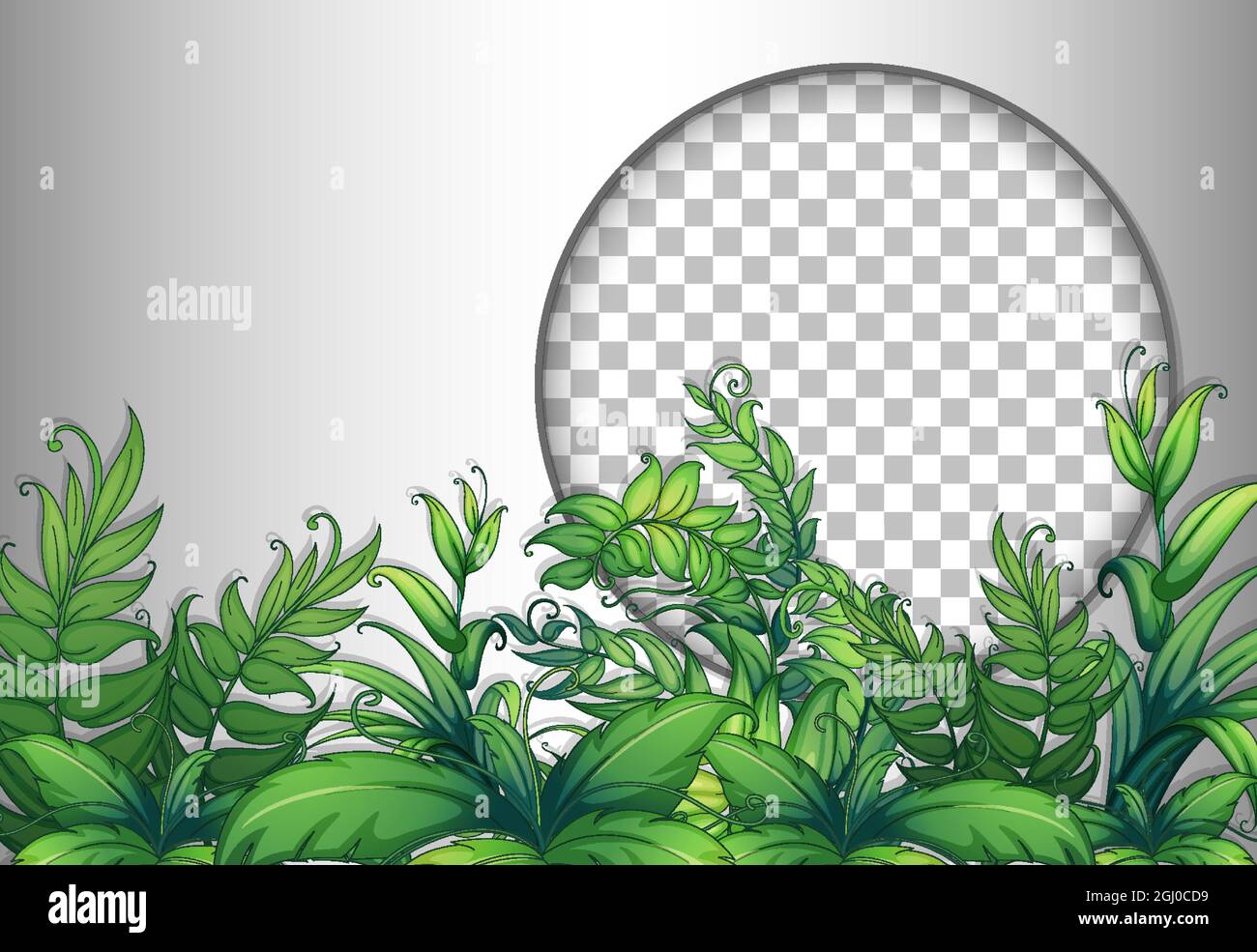 Round frame transparent with tropical leaves template illustration ...