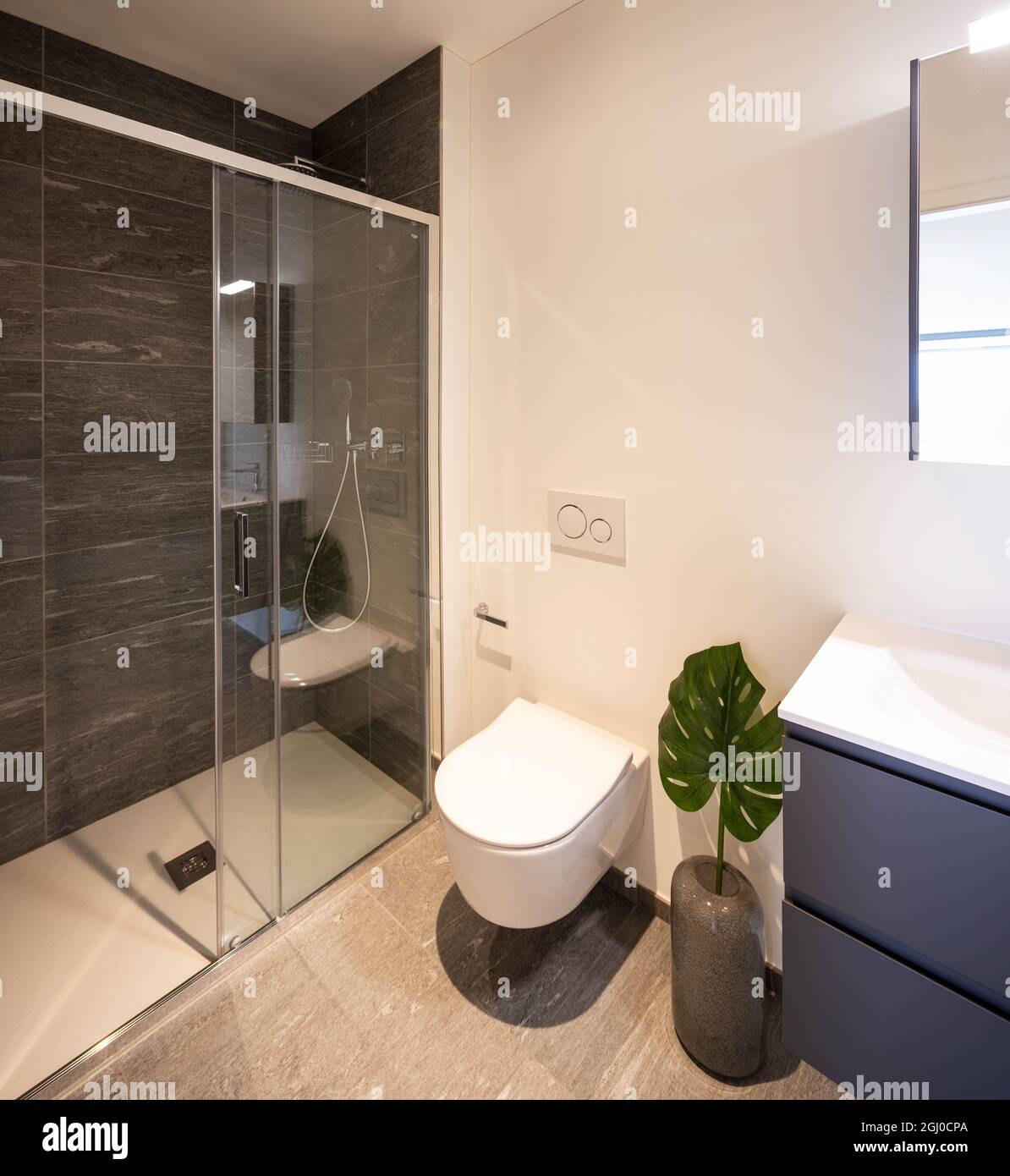 Interior of a bathroom, with shower and a leaf of a green plant. Stock Photo