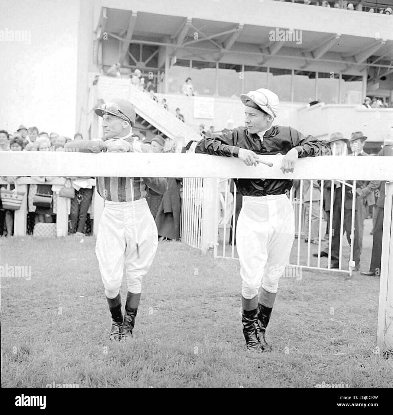 The racing rivals are pictured at a recent race meeting at Epsom They