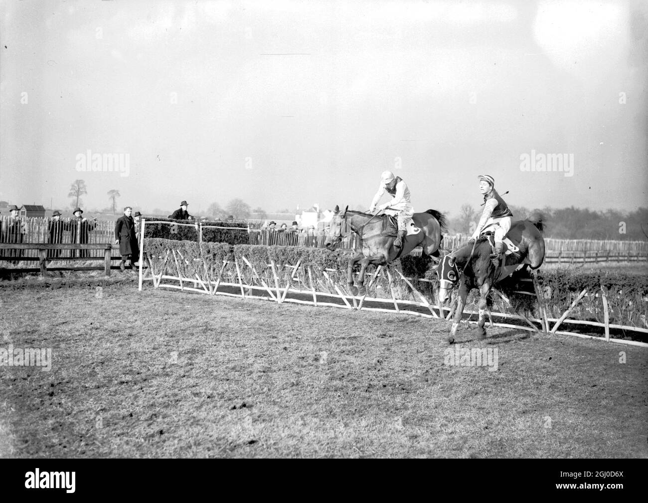 Fighting it out to the last hurdle are National Spirit (D.Dillon up) and Hatton's Grace ( no 3), ridden by T Moloney, during the Champion Hurdle Challenge Cup race at Cheltenham. Hatton's Grace went on the win by 5 lengths. 6th March 1951 Stock Photo