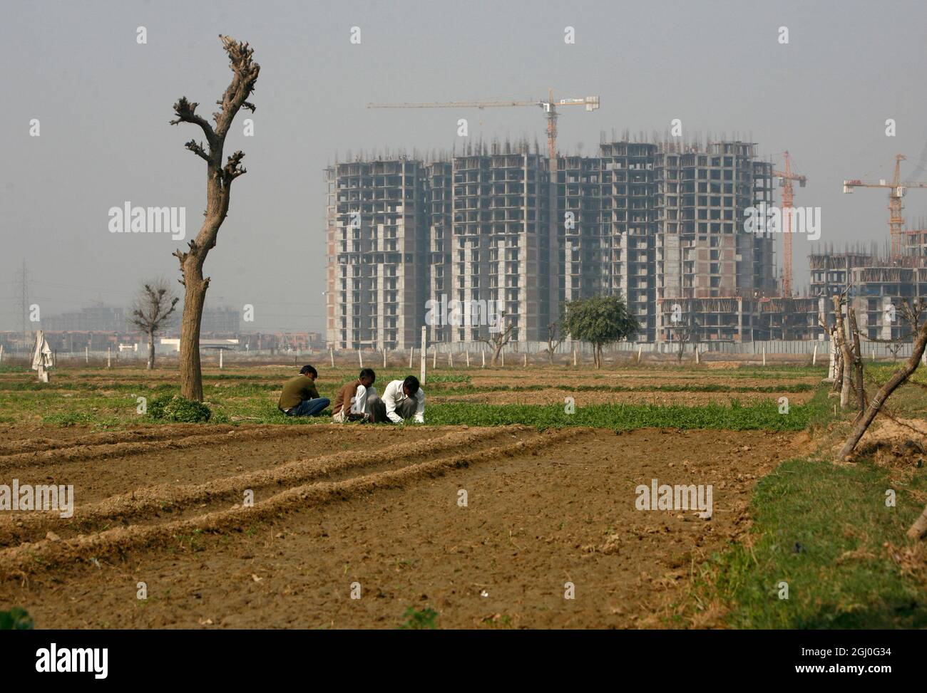 A view of a construction site of residential apartment in Greater Noida Delhi NCR, India. Stock Photo