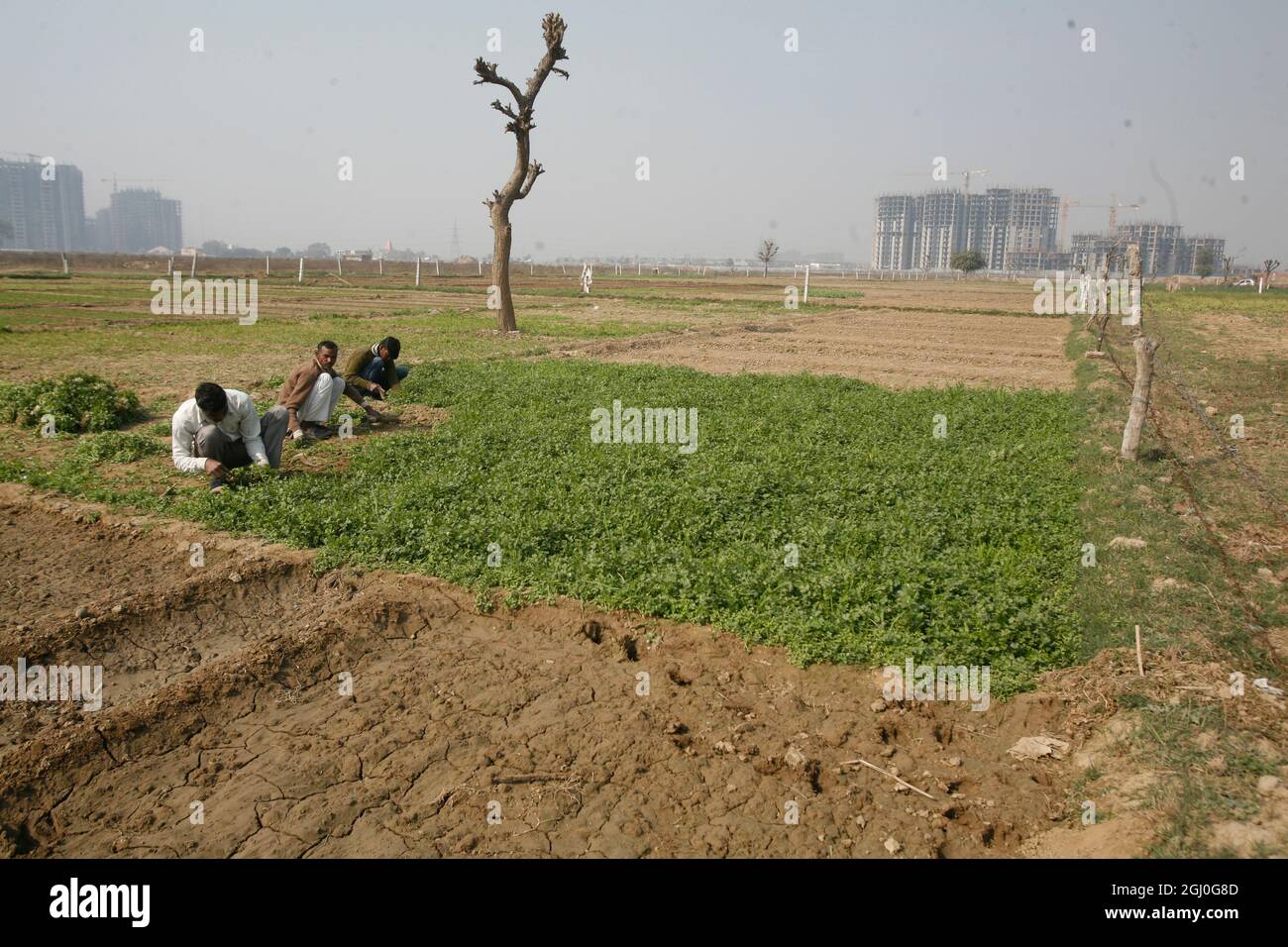 A view of a construction site of residential apartment in Greater Noida Delhi NCR, India. Stock Photo
