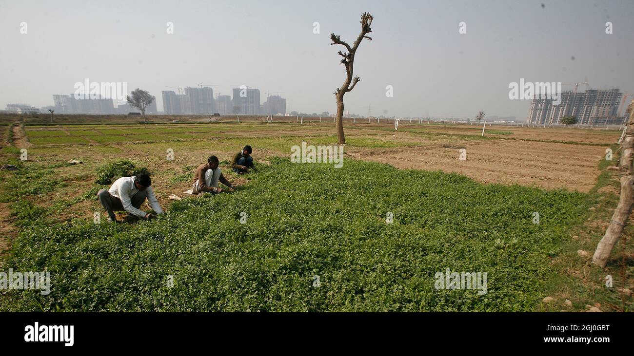 A view of a construction site of residential apartment in Greater Noida Delhi NCR, India. Stock Photo
