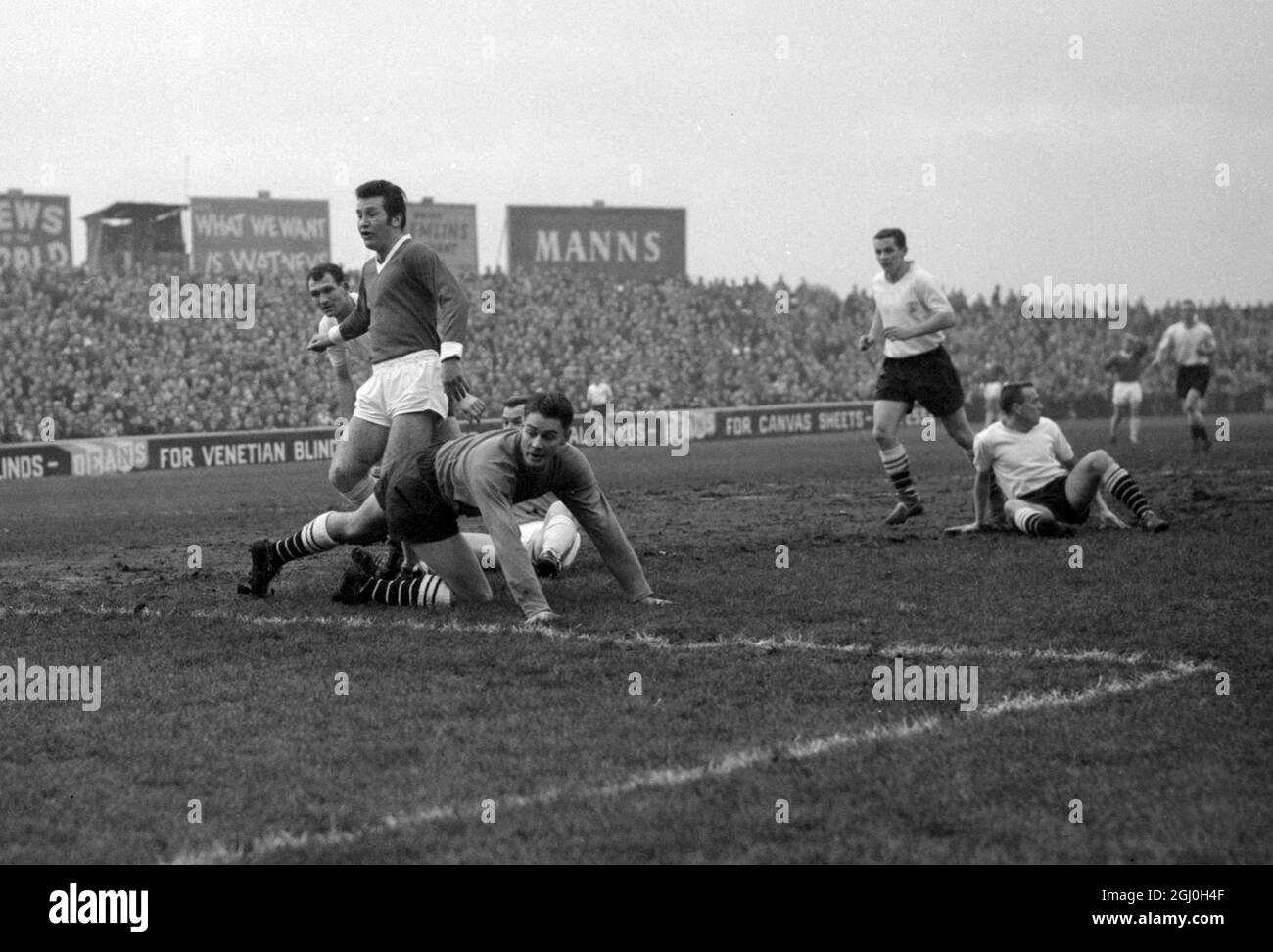 Manchester United inside left Pearson ( standing left foreground ) takes a shot as outside right Bradley goes sprawling. A scene during this afternoons Manchester United Fulham match at Craven Cottage London 10th December 1960 Stock Photo