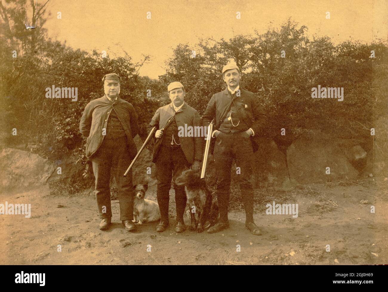 Shooting - men with rifles - gun dogs at their feet Stock Photo